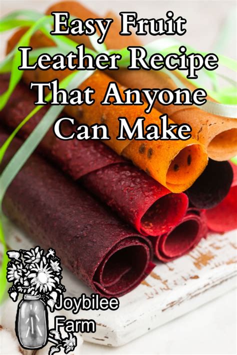 Easy Fruit Leather Recipe That Anyone Can Make