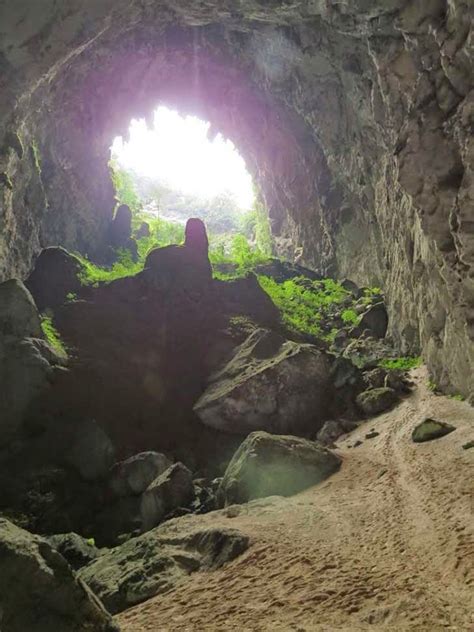 La Cueva Mas Grande Del Mundo Con Su Propio Ecosistema Gea Project