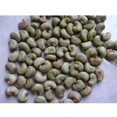 Organic Raw Cashew Nut Packaging Type Packet Packaging Size 5 Kg At