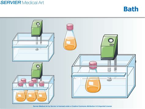 Ppt Lab Apparatus Powerpoint Presentation Free Download Id8749011