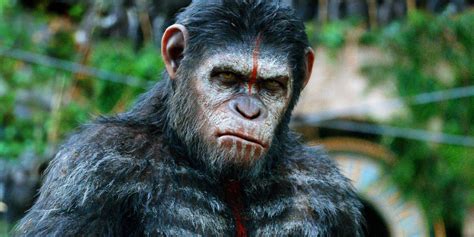 A Complete Guide To All The Planet Of The Apes Movies Intriguing Epic