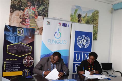 Undp Tirdo In Partnership To Drive Accelerated Innovation And