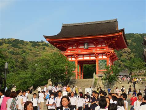 A Sakura Story: Japan - Kyoto temples