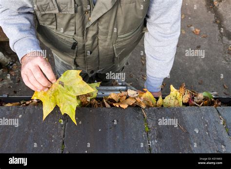 Cleaning Autumn Leaves From Gutter Stock Photo Alamy