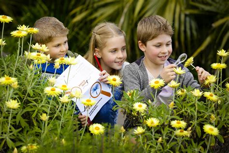 School Holiday Activities, Mount Annan Botanic Gardens | Anna Warr – Photographer