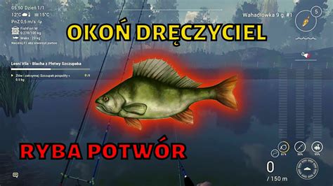 Jak Z Owi Oko Dr Czyciel Ryba Potw R Lesni Vila Youtube