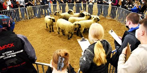 Aggies Livestock Judging Contest Back In Person Ohio Ag Net Ohios