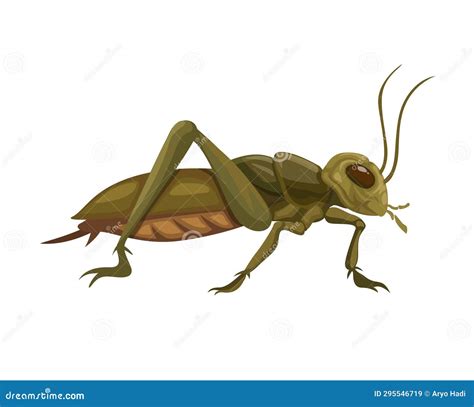 Cricket Insect Cartoon 261009455