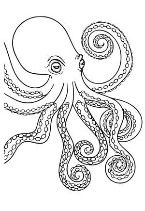 Realistic Octopus Coloring Page