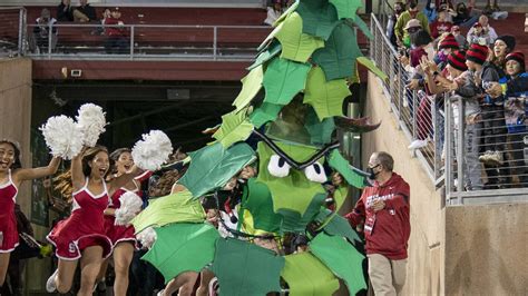 Stanford Tree mascot learns punishment for unveiling banner | Yardbarker