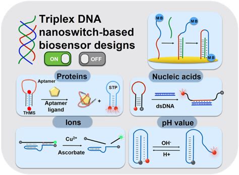 Applications Of Triplex Dna Nanostructures In Sensor Development