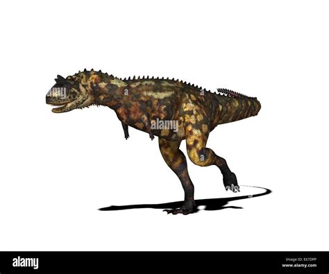 Carnotaurus Hi Res Stock Photography And Images Alamy