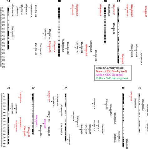 Physical Map Of Quantitative Trait Loci QTL Associated With Nine