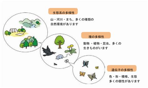 生物多様性について｜八王子市公式ホームページ