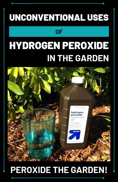 Peroxide The Garden Unconventional Uses Of Hydrogen Peroxide In The