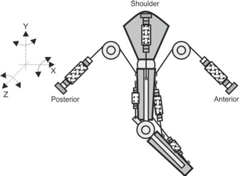 Table From Design Of Upper Limb Exoskeleton Actuated With Pneumatic