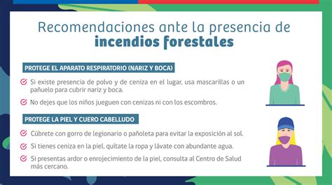 Incendios Forestales Qu Hacer Y A Qui N Contactar