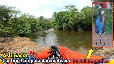 ASLI GACOR HAMPALA DAN MAHSEER AUTO TAKLUK PAKAI SPOON INI YouTube