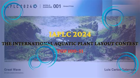 Top Iaplc The International Aquatic Plant Layout Contest