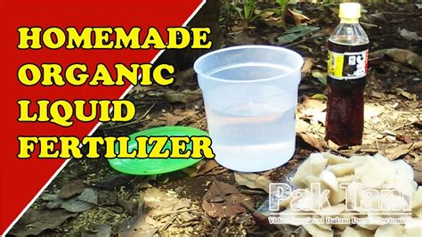 Free Homemade Liquid Fertilizers From Banana Tree By Gardening008 Youtube