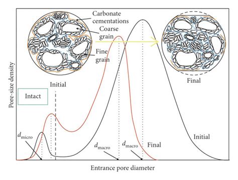 Predicted Psd Evolution Of A Compacted Loess B Intact Loess C Download Scientific