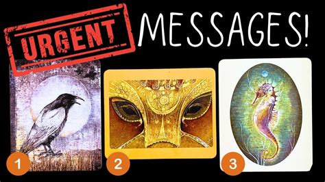 Urgent Messages From Your Spirit Guides Pick A Card Reading