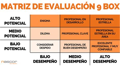 Qu Son Las Evaluaciones Box