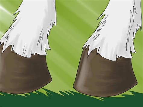 How to Treat Hoof Thrush: 6 Steps (with Pictures) - wikiHow