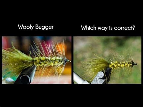 Best Way To Tie Wooly Bugger McFly Angler Fly Tying Tutorial YouTube