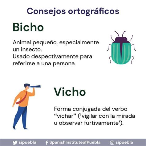 Consejos ortográficos Palabras de ortografía Palabras de vocabulario