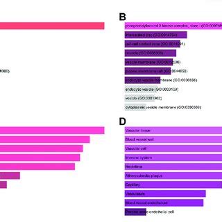 Go Functional And Tissue Annotation For The Common Target Genes Of