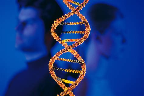 Arquivos Exame De Dna Cl Nica Popular Mais Sa De