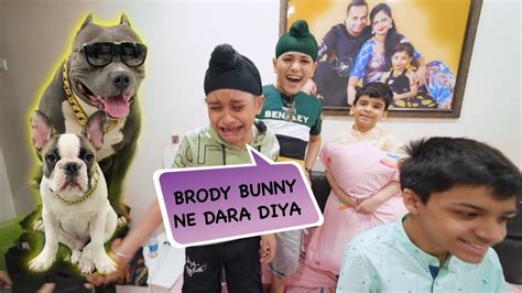 Brody Bunny Ne Bacho Ko Dara Diya 😆 Harpreet Sdc Youtube