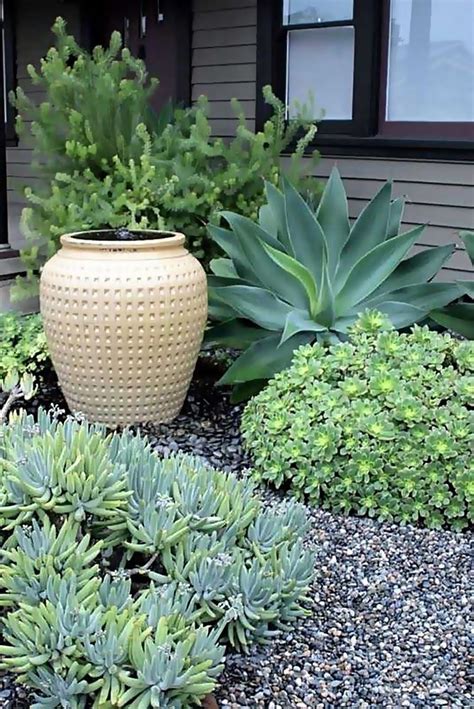 30 Best Low Water Landscaping Ideas To Decorate Your Garden In 2020