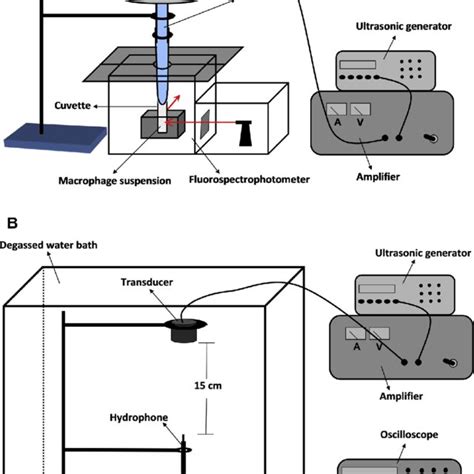 Schematic Diagram Of The Experimental Setup Used For In Vitro