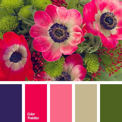 colors of anemone | Color Palette Ideas