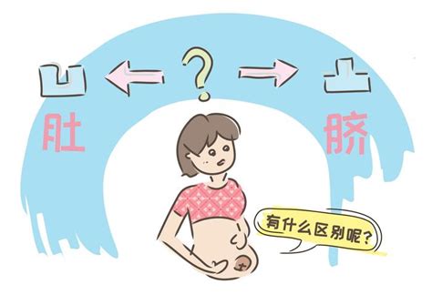 孕妈要学会看自己的肚脐，“凹进”还是“凸出”，都预示着什么？