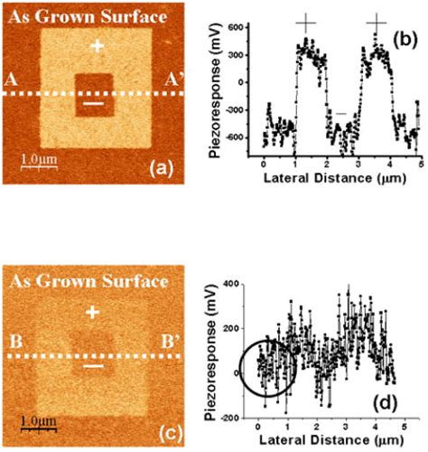 Color Online Piezoresponse Force Microscopy Pfm Image For The