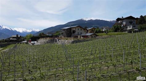 Edileco A Saint Christophe Al Cospetto Delle Montagne Colpito Tra Le