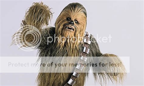 Gungi Wookiee Jedi – The closest we've come in the canon is gungi, a ...