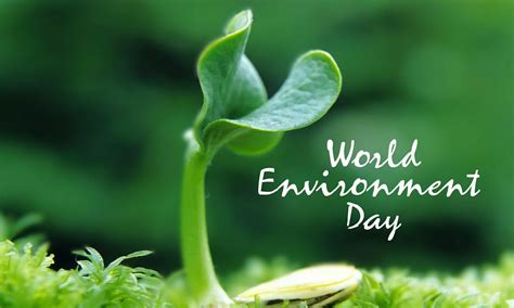 World Environment Day Wallpapers - Wallpaper Cave