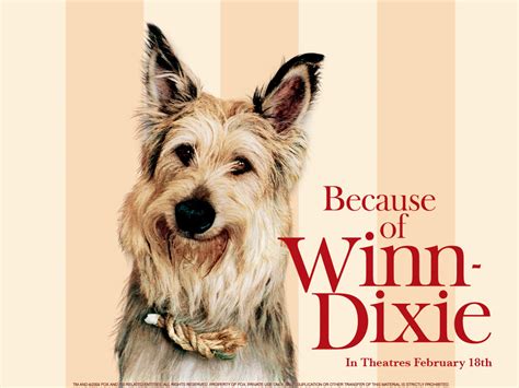 Because Of Winn Dixie Drawing At Getdrawings Free Download