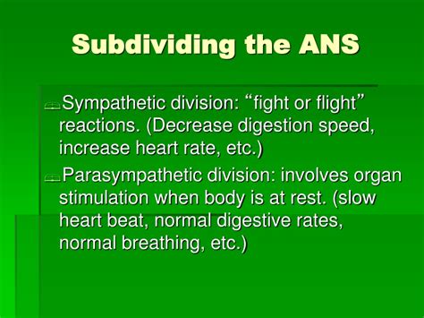 Ppt Nervous System Powerpoint Presentation Free Download Id 9505333