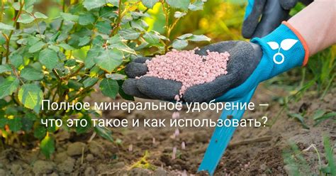 Полное минеральное удобрение, что это такое и как использовать? Фото ...