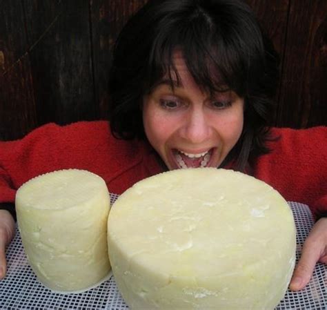 How To Make Gouda Cheese The Recipe And A Picture Tutorial Goat