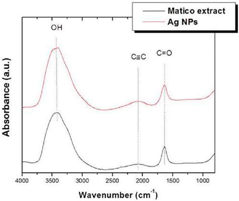 Fourier Transform Infrared Ftir Spectra Of B Globosa Extract And