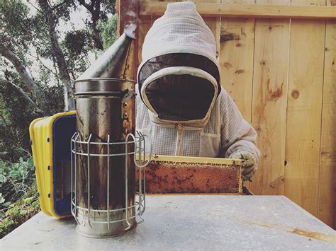 How To Make Your Own Natural Bee Smoker Fuel Modern Farmer