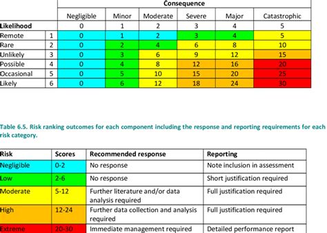 Risk Rating Scale