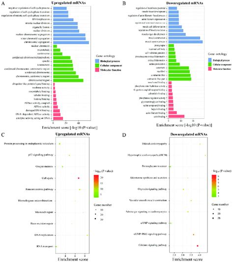 Go And Pathway Analysis Of The Degs A And B The Top 10 Enriched Go Download Scientific