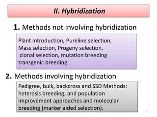 Breeding methods 17.05.2021